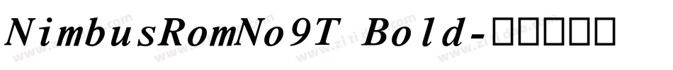 NimbusRomNo9T Bold字体转换